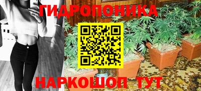 прущие грибы Обнинск
