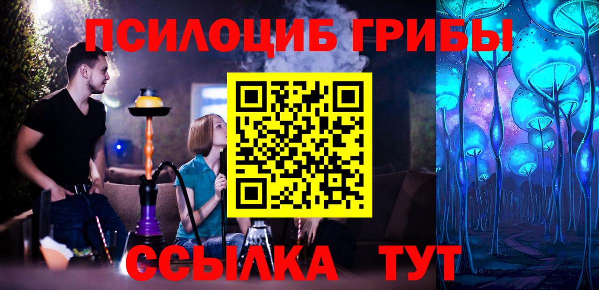 Псилоцибиновые грибы мицелий Северобайкальск