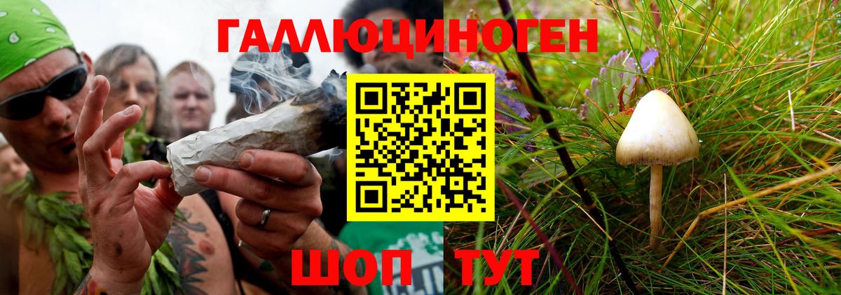 Северобайкальск  Галлюциногенные грибы прущие грибы  цены наркотик  Вход с VPN 